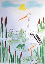 Bodnárová Veronika.jpg